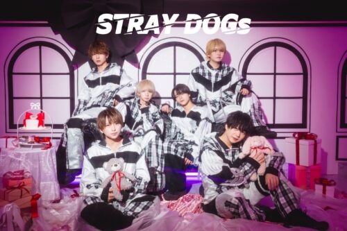 STRAY DOGs